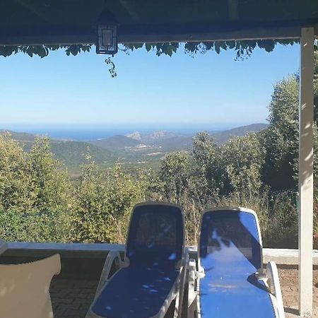 Vos Vacances A Lama France Corse Exterior foto